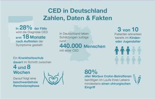 CED in Deutschland - Zahlen, Daten, Fakten
